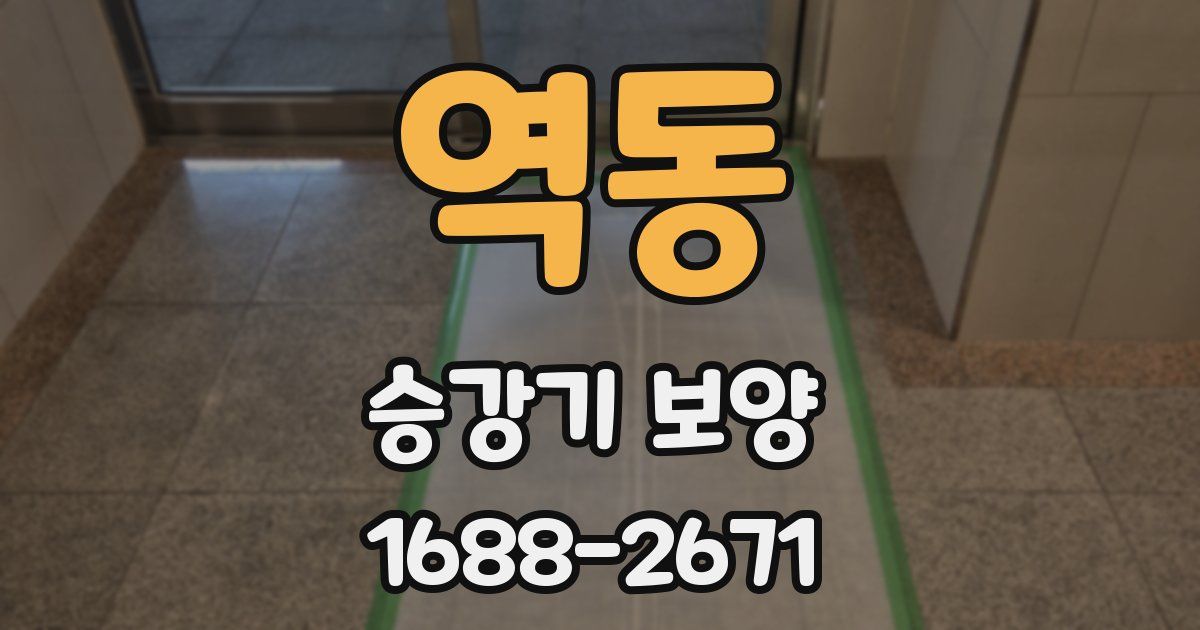 역동 승강기 보양