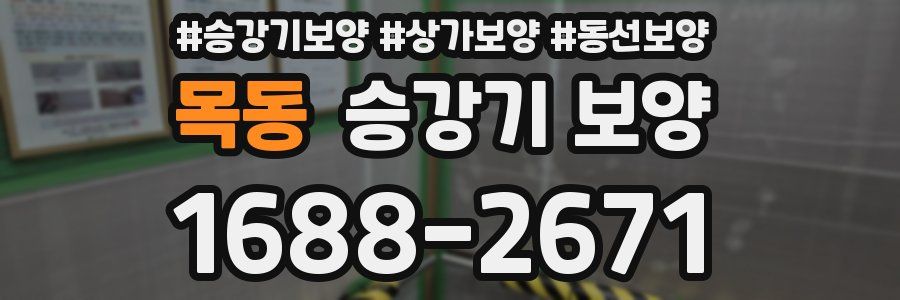 목동 승강기 보양
