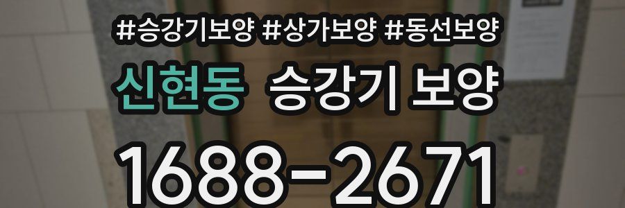 신현동 승강기 보양
