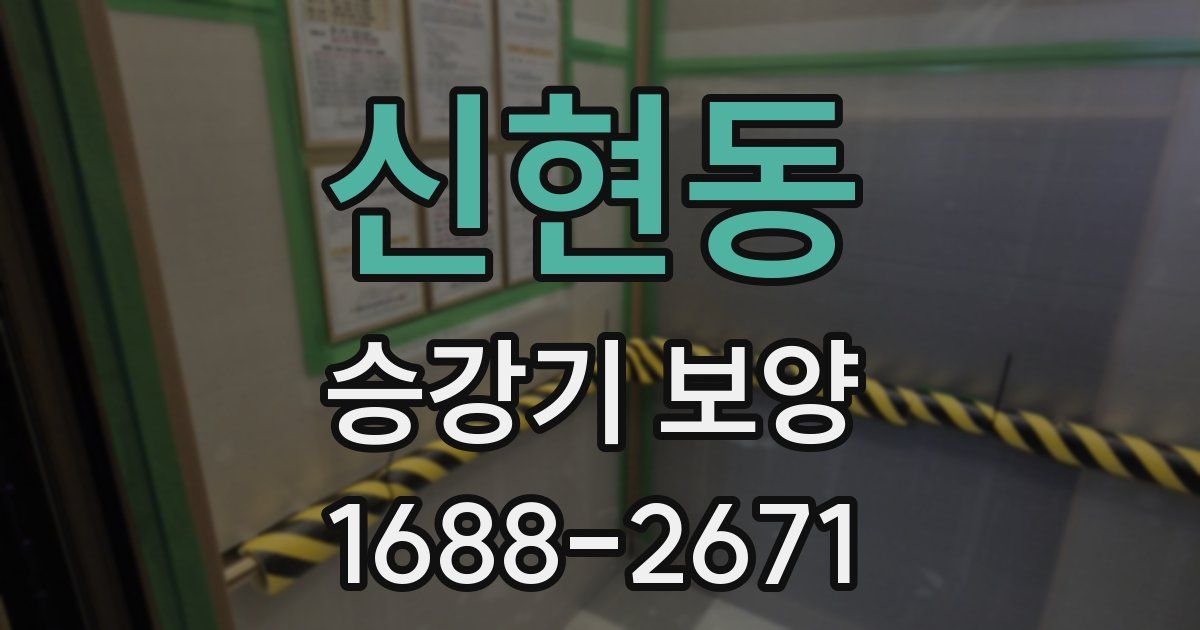 신현동 승강기 보양