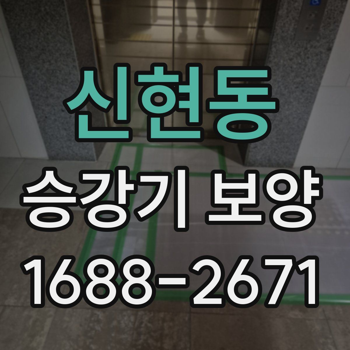 신현동 승강기 보양