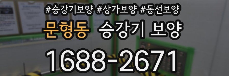 문형동 승강기 보양