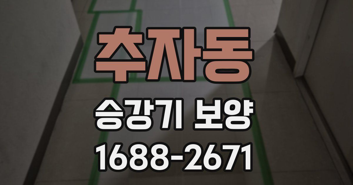 추자동 승강기 보양