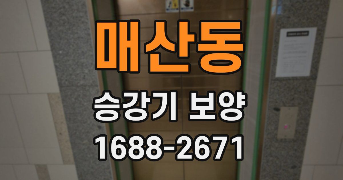매산동 승강기 보양
