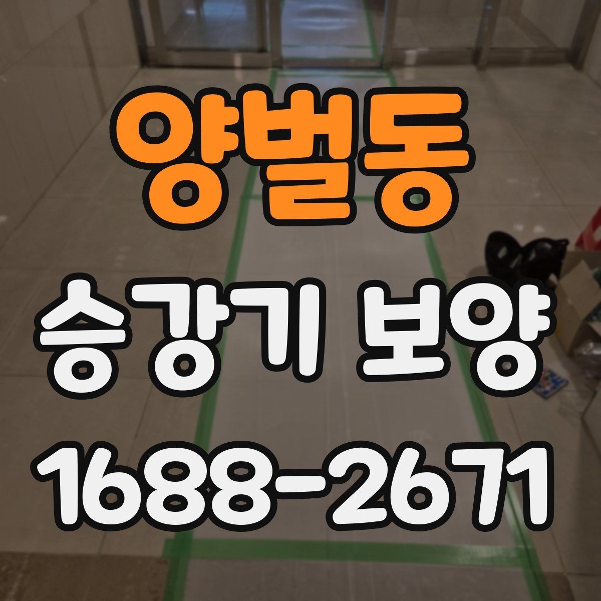 양벌동 승강기 보양 적용 범위를 나누는 방법