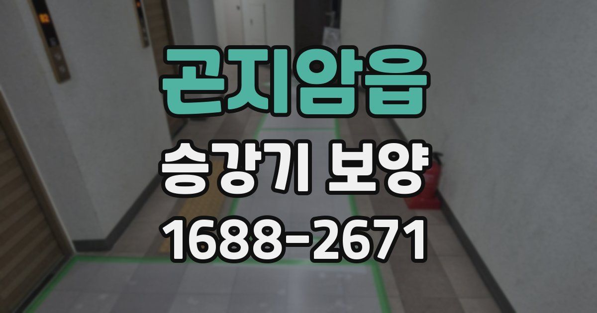 곤지암읍 승강기 보양