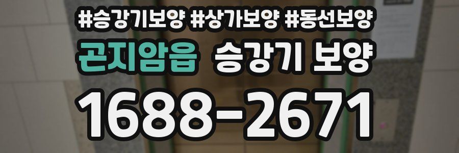 곤지암읍 승강기 보양