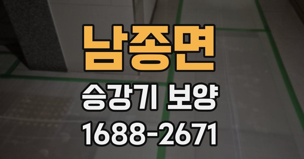 남종면 승강기 보양