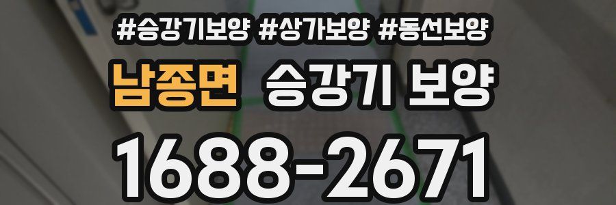 남종면 승강기 보양