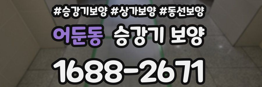 어둔동 승강기 보양