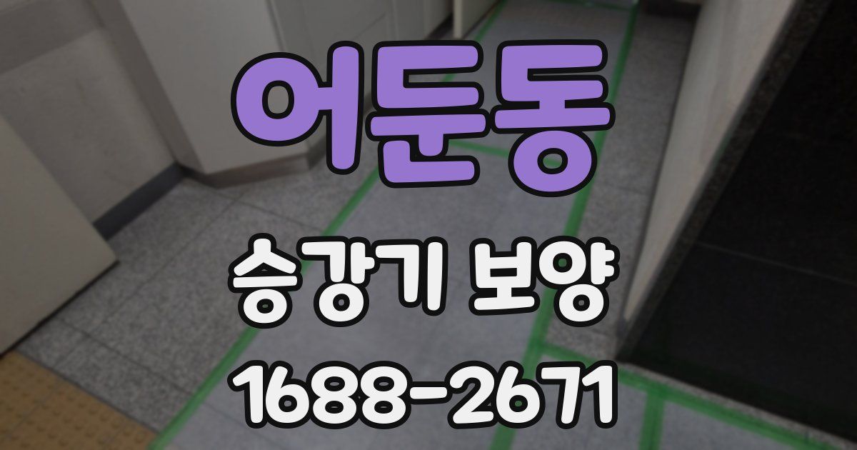 어둔동 승강기 보양