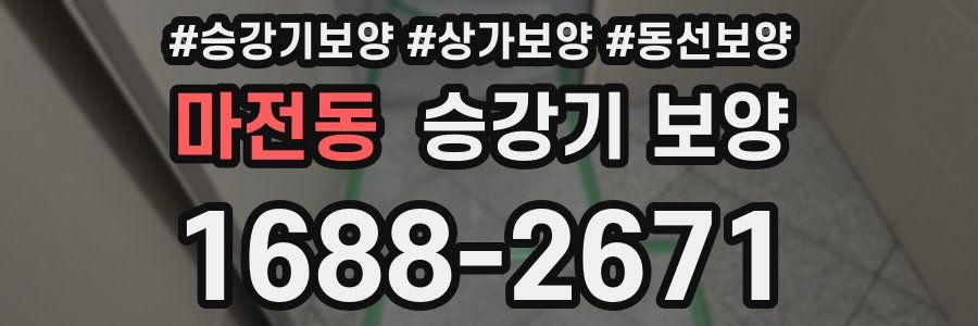 마전동 승강기 보양