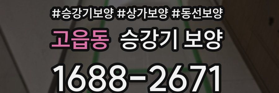 고읍동 승강기 보양