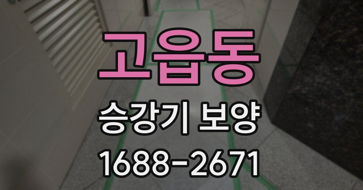 고읍동 승강기 보양