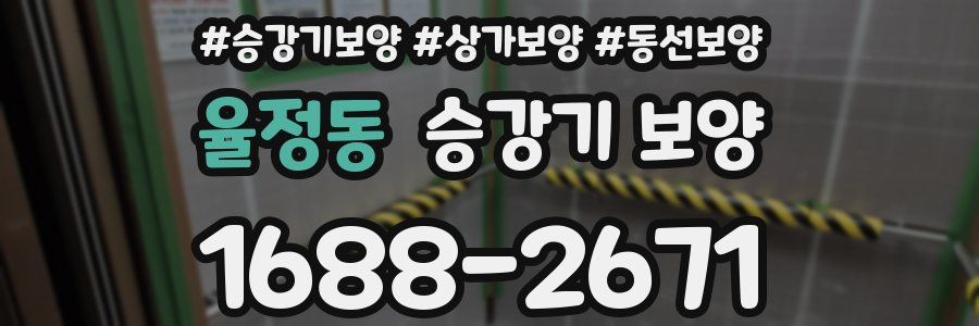 율정동 승강기 보양