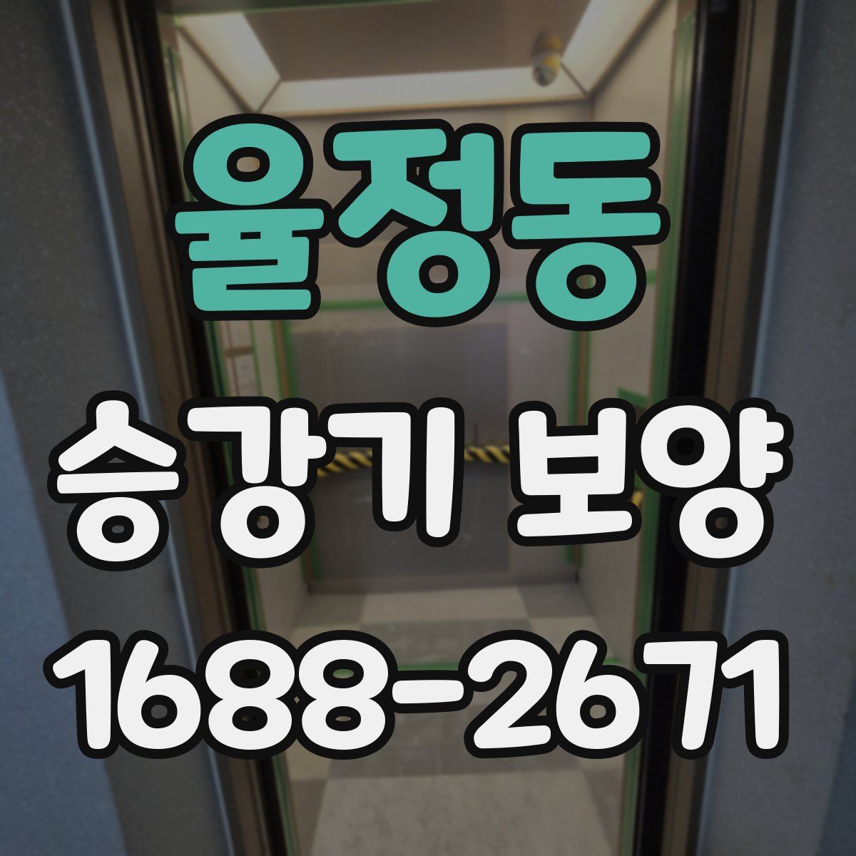 율정동 승강기 보양