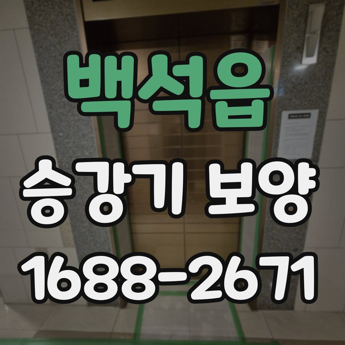 백석읍 승강기 보양 사례로 보는 현장 대응법