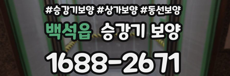 백석읍 승강기 보양