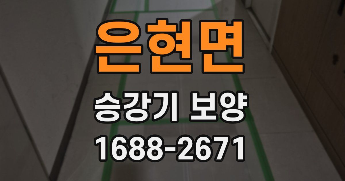은현면 승강기 보양