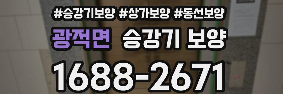 광적면 승강기 보양