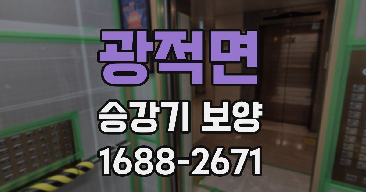 광적면 승강기 보양