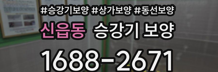 신읍동 승강기 보양