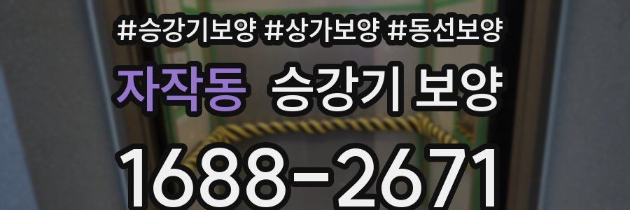 자작동 승강기 보양