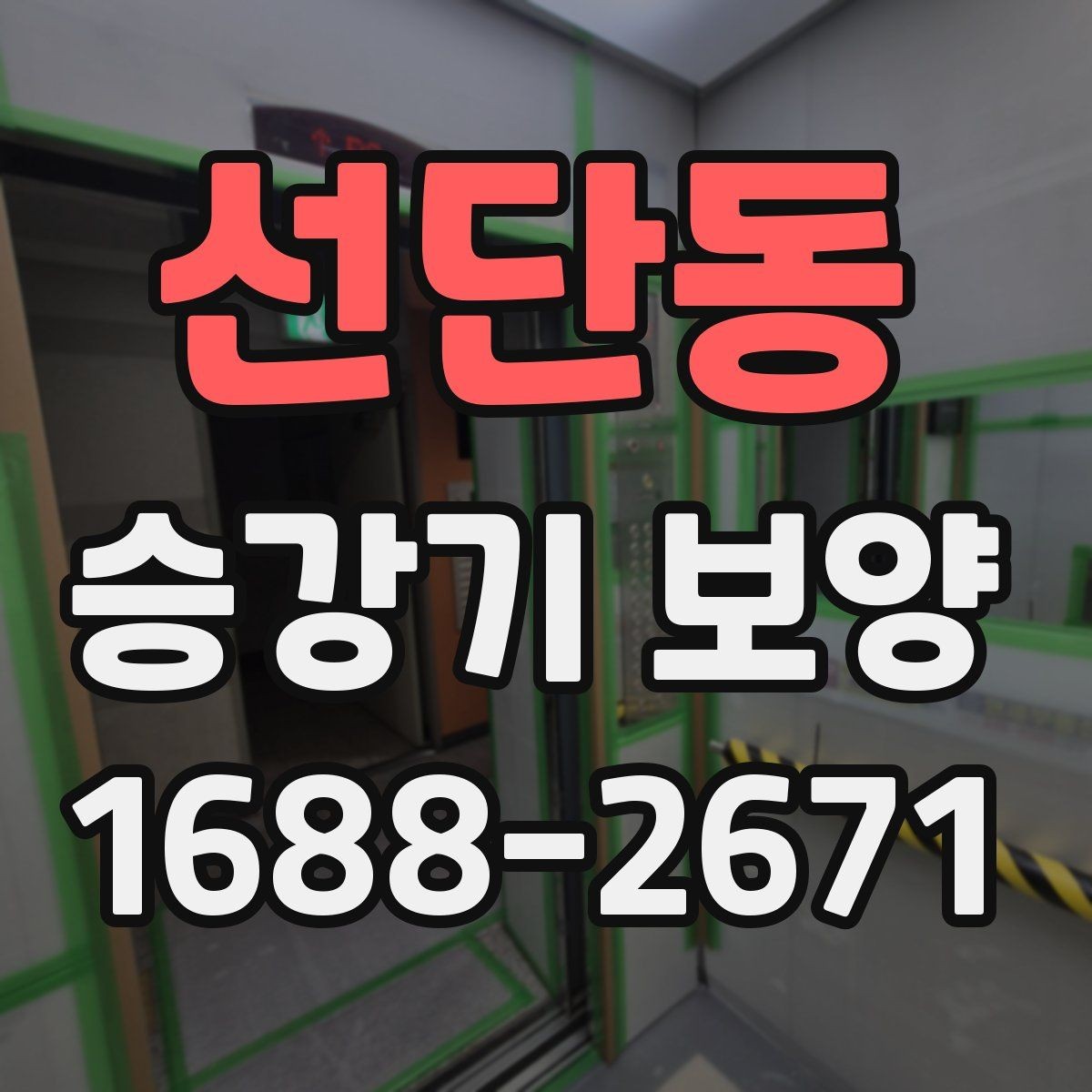 선단동 승강기 보양 시공에서 보호해야 할 주요 부위