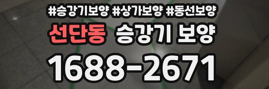 선단동 승강기 보양