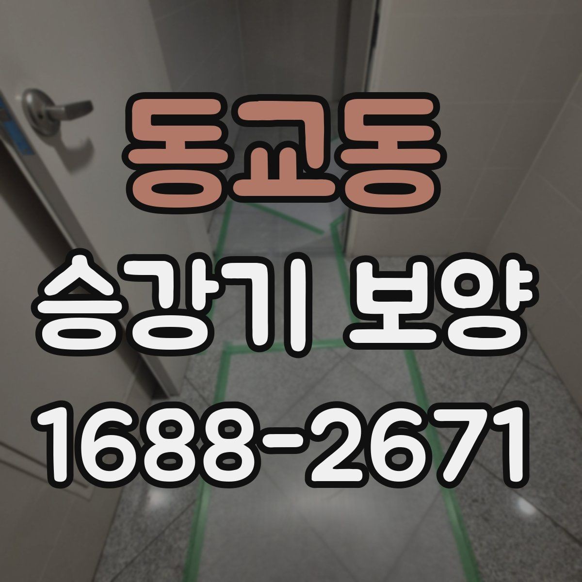 동교동 승강기 보양 도입 전 알아두면 좋은 정보