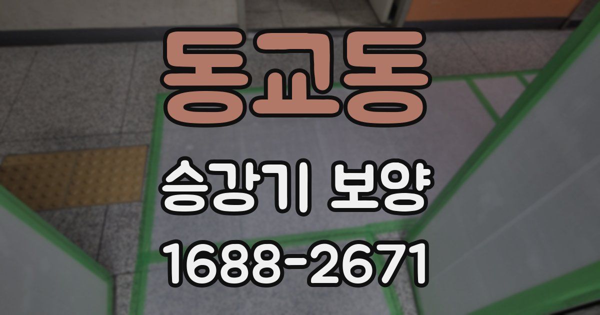 동교동 승강기 보양