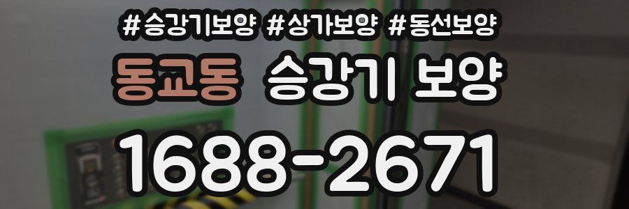 동교동 승강기 보양