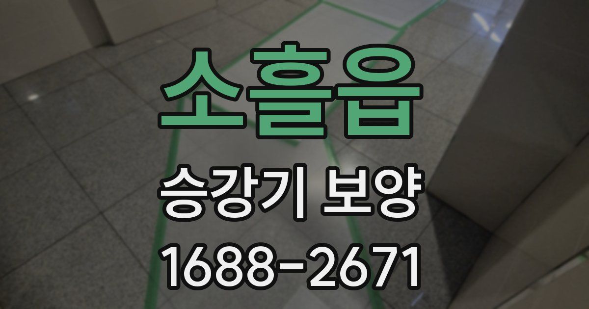 소흘읍 승강기 보양