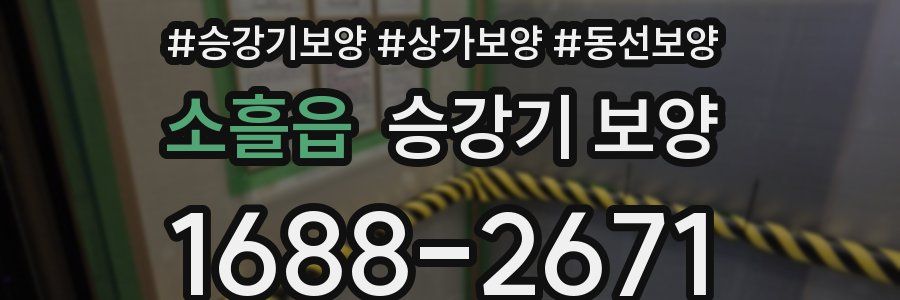 소흘읍 승강기 보양