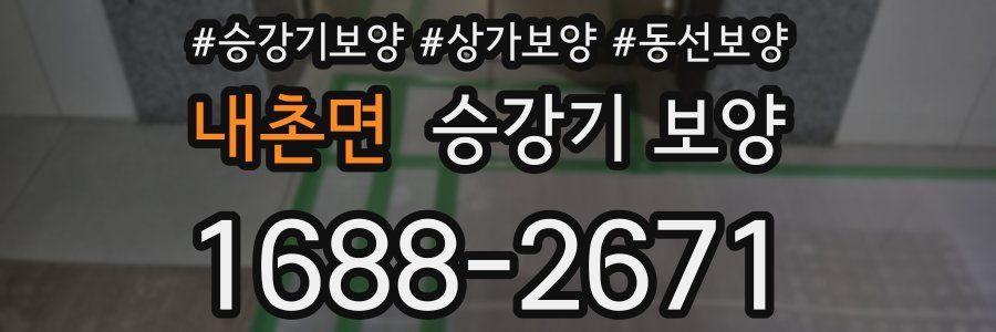 내촌면 승강기 보양