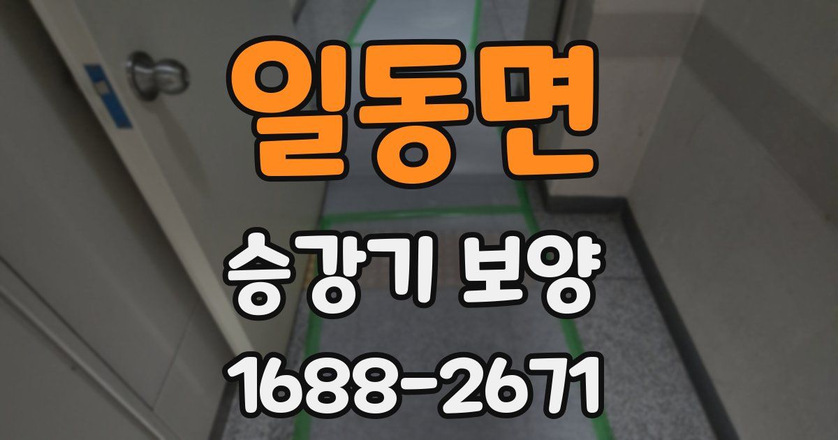 일동면 승강기 보양