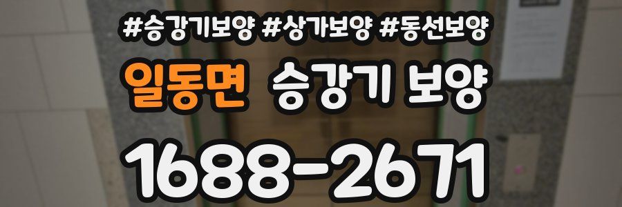 일동면 승강기 보양