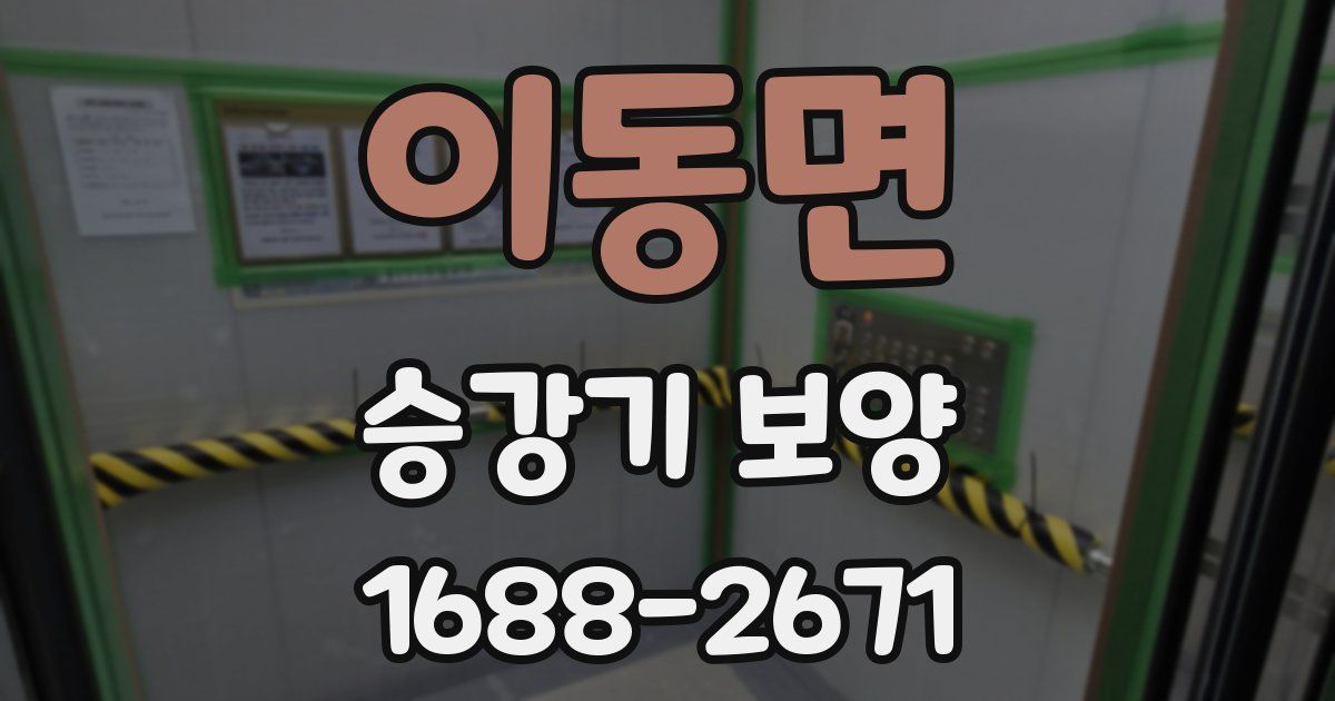 이동면 승강기 보양