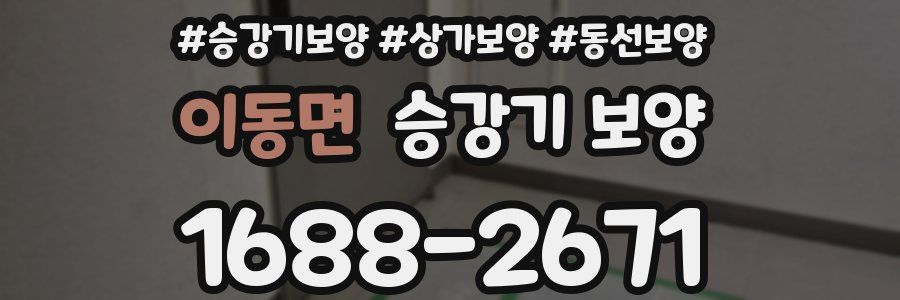 이동면 승강기 보양