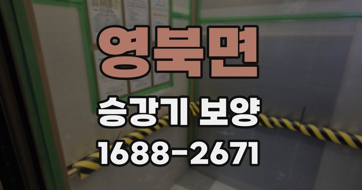 영북면 승강기 보양