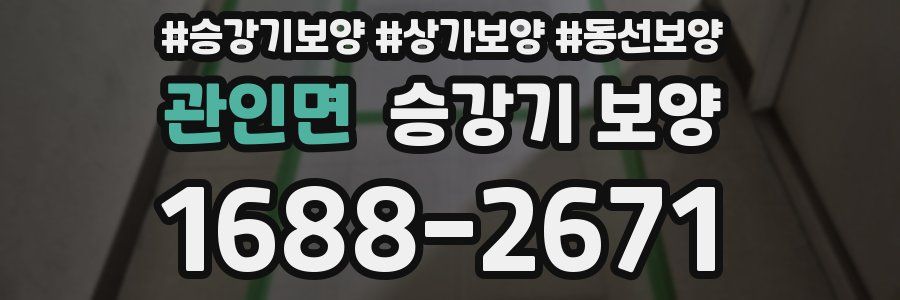 관인면 승강기 보양