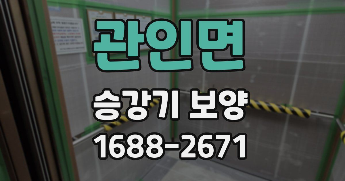 관인면 승강기 보양