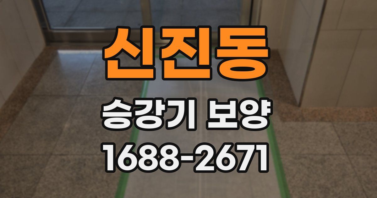 신진동 승강기 보양