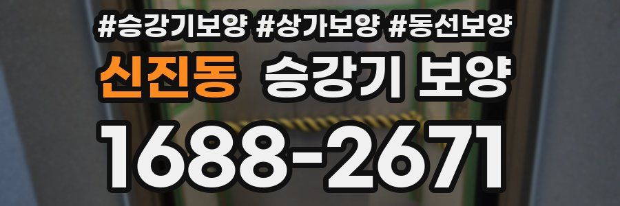 신진동 승강기 보양