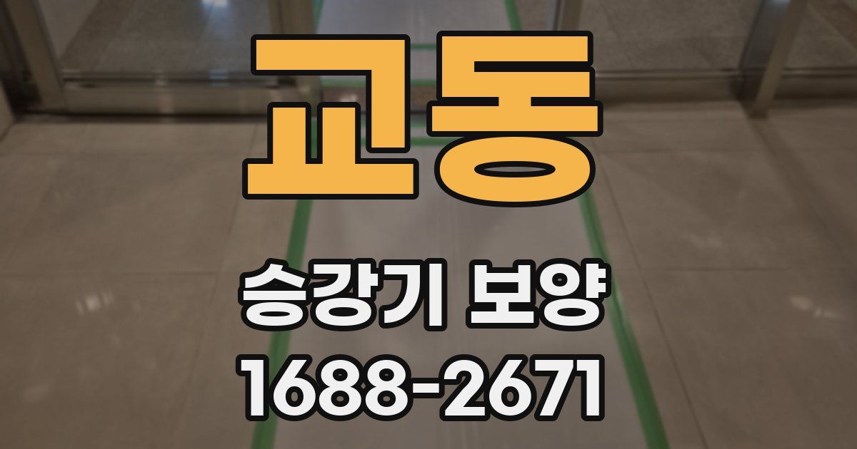 교동 승강기 보양