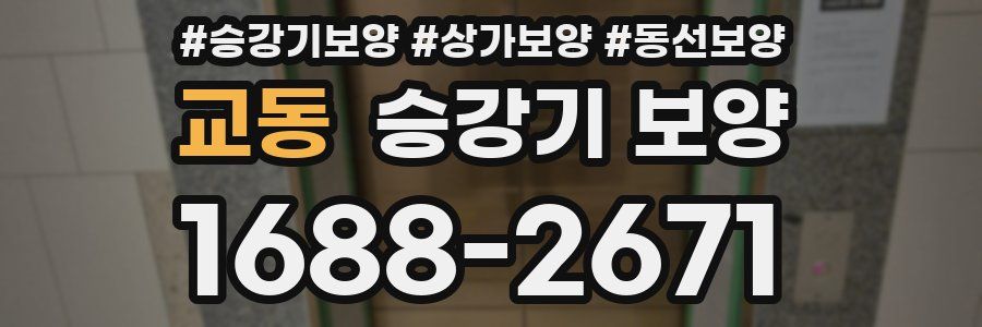 교동 승강기 보양