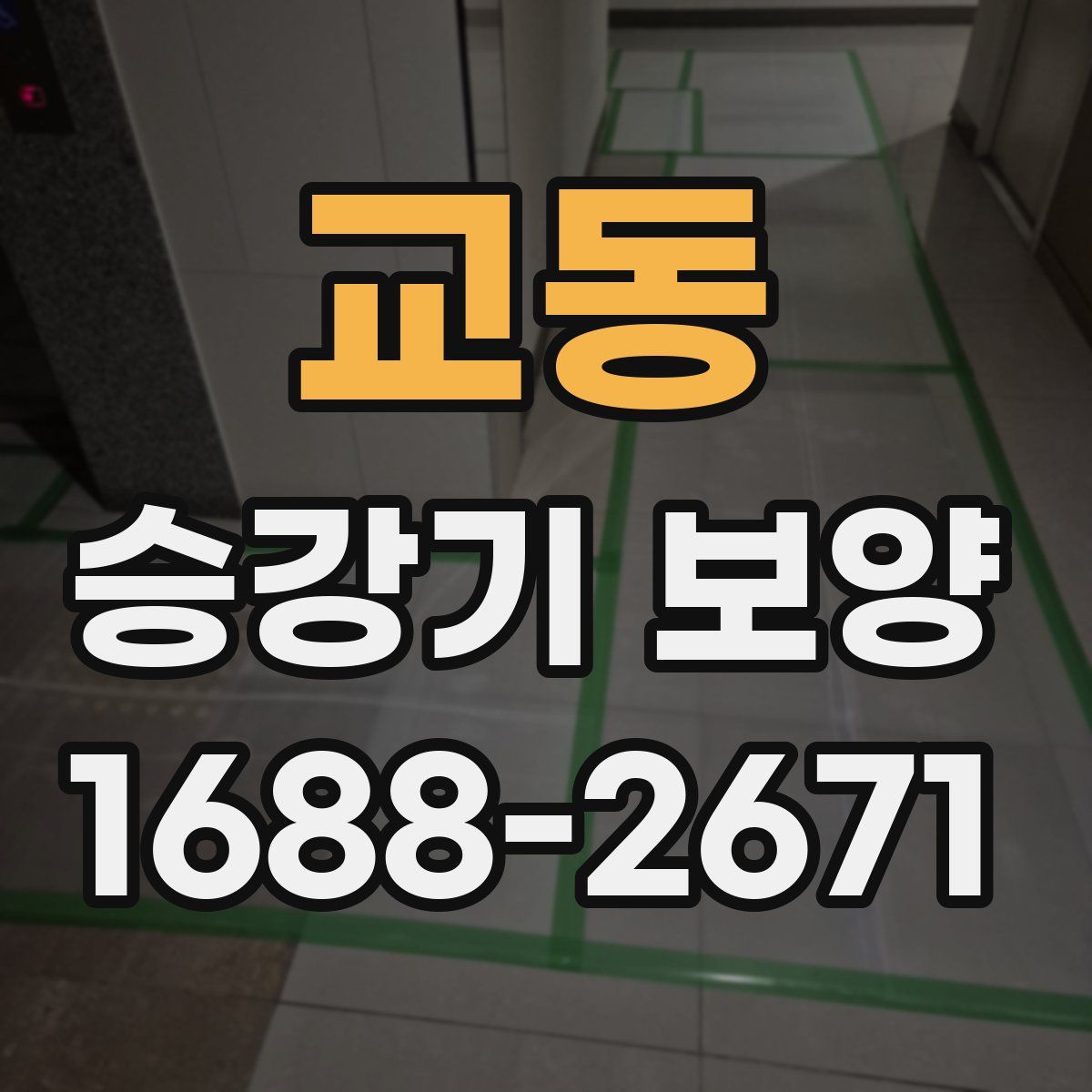 교동 승강기 보양