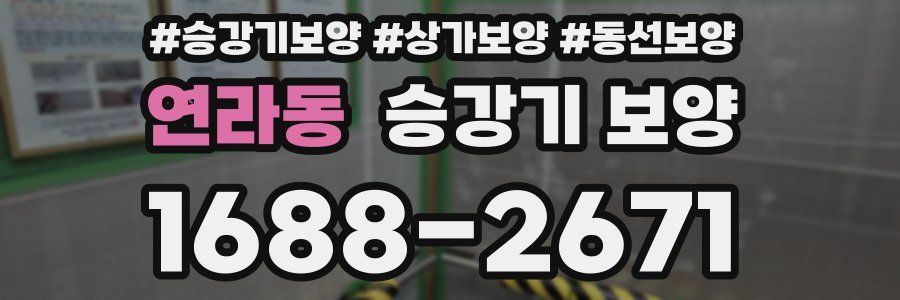 연라동 승강기 보양
