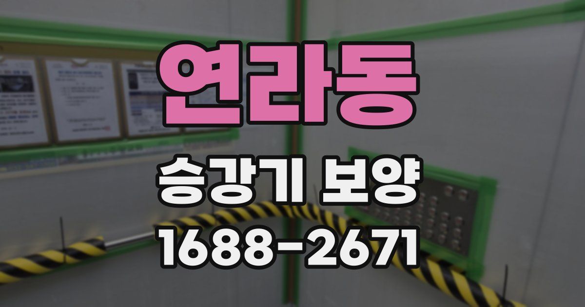 연라동 승강기 보양
