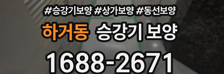 하거동 승강기 보양